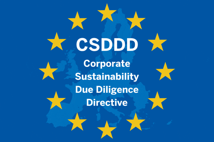 EU Flag, with CSDDD - Corporate Sustainability Due Diligence Directive written inside the stars